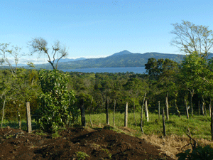 The lot has a large level area at top with fine views of Lake Arenal.